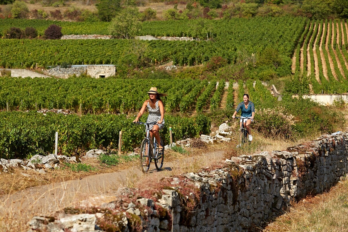 Cyclotourisme dans les vignes autour de Beaune Cyclotourisme dans les vignes autour de Beaune